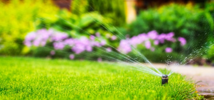 Summer Landscaping Tips
